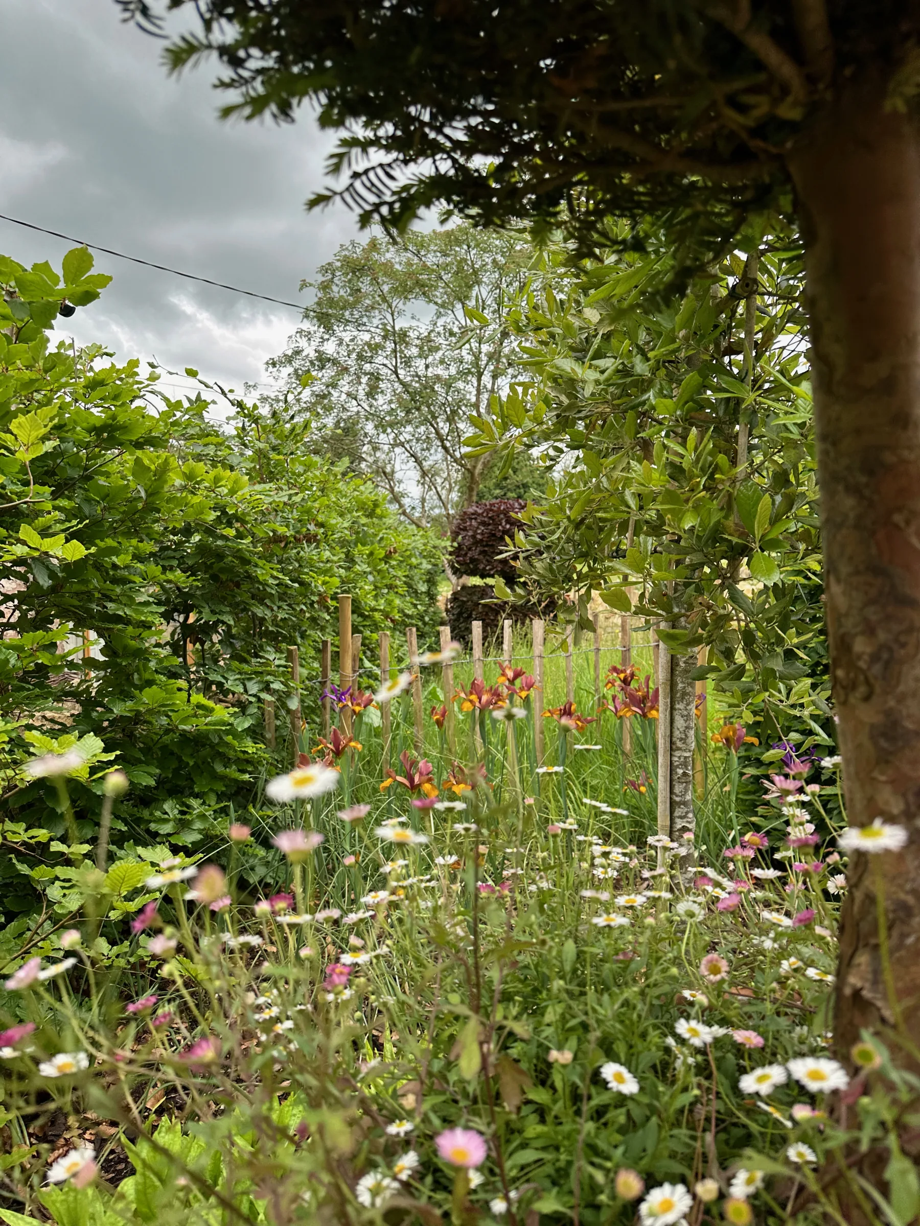 Compton Abdale — image 11